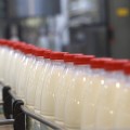 В Колышлейском районе готовится к запуску новый завод по переработке молока