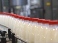 В Колышлейском районе готовится к запуску новый завод по переработке молока