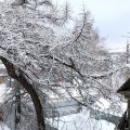 В Пензенской области ожидается снег