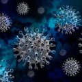 В России зафиксировали новых больных с коронавирусом за сутки