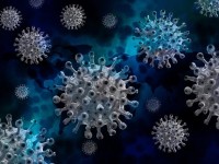 В России зафиксировали новых больных с коронавирусом за сутки