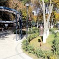 Жители «Новых садов» от «Рисан» имеют свой собственный парк. Каково оно, Бабье лето-2020 в уникальном жилом комплексе - виртуальный тур