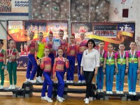 Команда Никольска взяла «золото» на соревнованиях Федерации фитнес-аэробики России