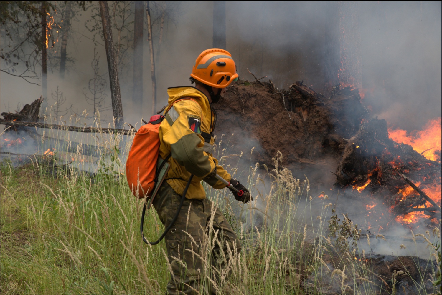 Минприроды РФ предлагает снять ограничение на продолжительность сверхурочной работы для лесных пожарных