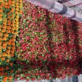В Пензу поступила первая партия цветов для украшения города