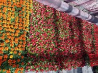 В Пензу поступила первая партия цветов для украшения города