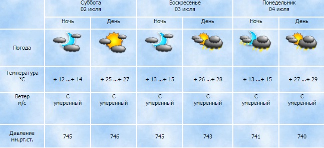 Прогноз погоды на 14 дней пенза гисметео