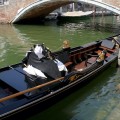 Венеция в 48 фотосетах с Бюро The Penza Post согреет душу в осенние вечера