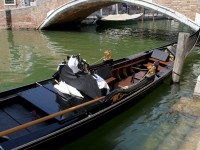 Венеция в 48 фотосетах с Бюро The Penza Post согреет душу в осенние вечера