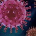 В Пензенской области у 11 детей обнаружили коронавирус