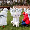 Генк (Genk), Бельгия. Кладбище советских воинов 1944-1945 годов - виртуальный тур