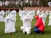 Генк (Genk), Бельгия. Кладбище советских воинов 1944-1945 годов - виртуальный тур