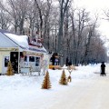 «Западная поляна» идеальна для зимнего спорта, что зримо доказывают счастливые обладатели квартир от «Рисан» – фото и видео