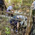 Пензенские волонтеры благоустроили захоронения выдающихся соотечественников на Мироносицком кладбище