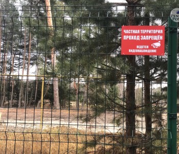 Утверждено обвинительное заключение по делу о незаконной вырубке в Ахунском сосновом бору - прокуратура
