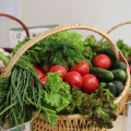 Невролог из Пензы назвала топ-6 продуктов для эффективной работы мозга