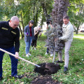 «Вернуть Пензе славу одного из самых зеленых городов России»: Мельниченко масштабирует «Зеленую Пензу»