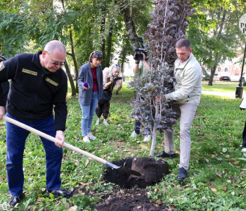 «Вернуть Пензе славу одного из самых зеленых городов России»: Мельниченко масштабирует «Зеленую Пензу»